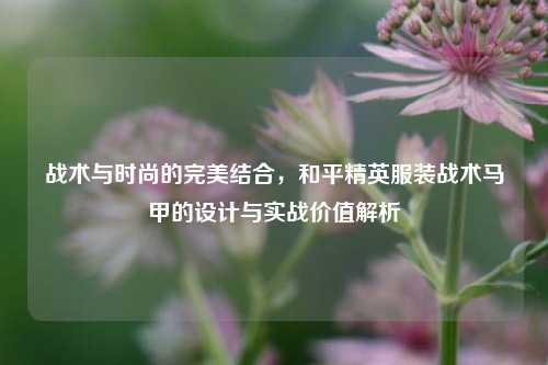 战术与时尚的完美结合,和平精英服装战术马甲的设计与实战价值解析