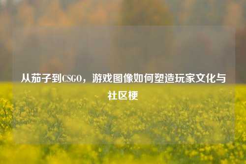从茄子到CSGO,游戏图像如何塑造玩家文化与社区梗
