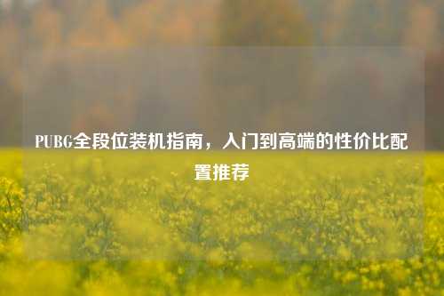 PUBG全段位装机指南,入门到高端的性价比配置推荐