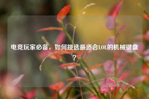 电竞玩家必备,如何挑选最适合LOL的机械键盘?