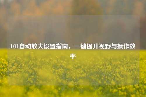 LOL自动放大设置指南,一键提升视野与操作效率