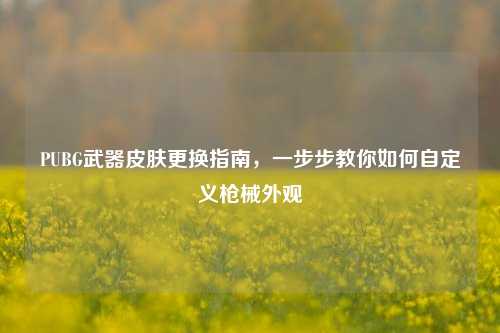 PUBG武器皮肤更换指南,一步步教你如何自定义枪械外观