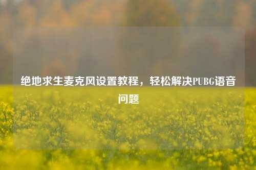 绝地求生麦克风设置教程,轻松解决PUBG语音问题
