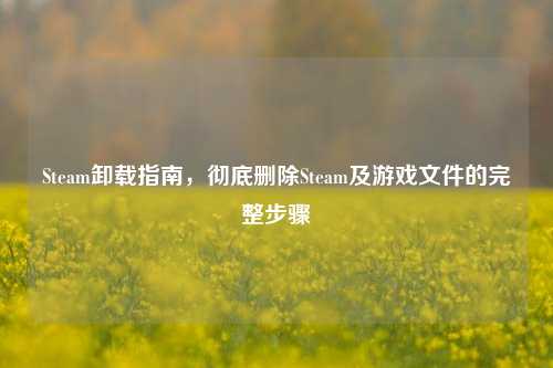Steam卸载指南,彻底删除Steam及游戏文件的完整步骤
