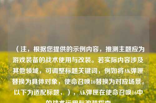 (注,根据您提供的示例内容,推测主题应为游戏装备的战术使用与改装。若实际内容涉及其他领域,可调整标题关键词,例如将AK弹匣替换为具体对象,使命召唤16替换为对应场景。以下为适配标题,),AK弹匣在使命召唤16中的战术运用与改装指南
