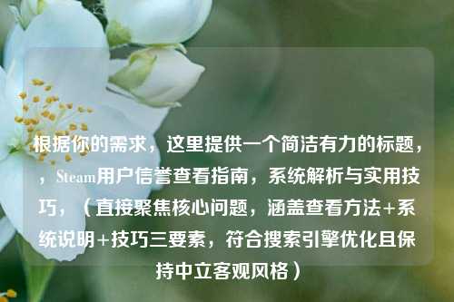 根据你的需求,这里提供一个简洁有力的标题,,Steam用户信誉查看指南,系统解析与实用技巧,(直接聚焦核心问题,涵盖查看方法+系统说明+技巧三要素,符合搜索引擎优化且保持中立客观风格)