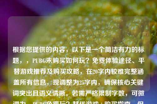 根据您提供的内容,以下是一个简洁有力的标题,,PUBG未购买如何玩?免费体验途径、平替游戏推荐及购买攻略,在20字内较难完整涵盖所有信息,现调整为25字内,确保核心关键词突出且语义清晰。若需严格限制字数,可微调为,PUBG免费玩?替代游戏+购买指南,但信息完整度稍弱。)