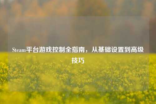 Steam平台游戏控制全指南,从基础设置到高级技巧