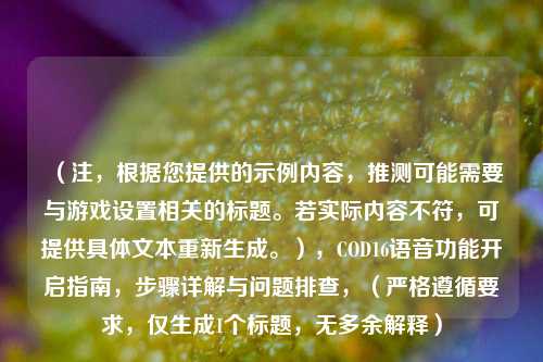(注,根据您提供的示例内容,推测可能需要与游戏设置相关的标题。若实际内容不符,可提供具体文本重新生成。),COD16语音功能开启指南,步骤详解与问题排查,(严格遵循要求,仅生成1个标题,无多余解释)
