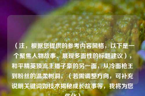 (注,根据您提供的参考内容风格,以下是一个聚焦人物故事、展现多面性的标题建议),和平精英顶流主播子豪的另一面,从冷面枪王到粉丝的温柔树洞,(若需调整方向,可补充说明关键词如技术揭秘成长故事等,我将为您优化)