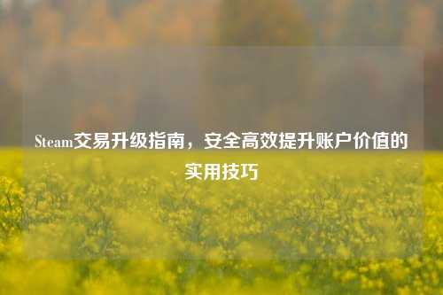 Steam交易升级指南,安全高效提升账户价值的实用技巧