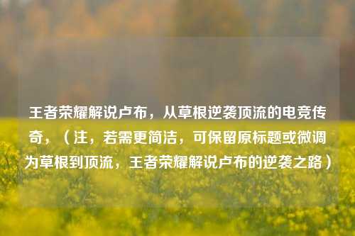 王者荣耀解说卢布,从草根逆袭顶流的电竞传奇,(注,若需更简洁,可保留原标题或微调为草根到顶流,王者荣耀解说卢布的逆袭之路)