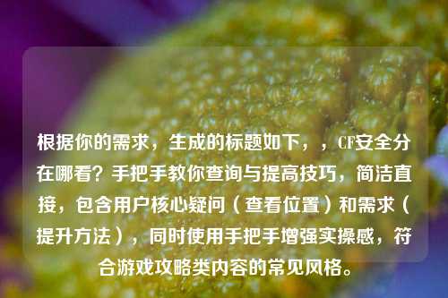根据你的需求，生成的标题如下，，CF安全分在哪看？手把手教你查询与提高技巧，简洁直接，包含用户核心疑问（查看位置）和需求（提升方法），同时使用手把手增强实操感，符合游戏攻略类内容的常见风格。