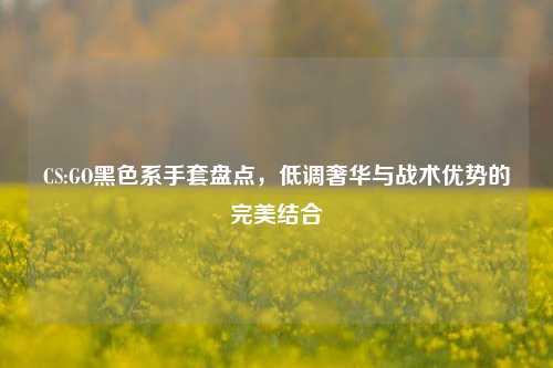CS:GO黑色系手套盘点,低调奢华与战术优势的完美结合