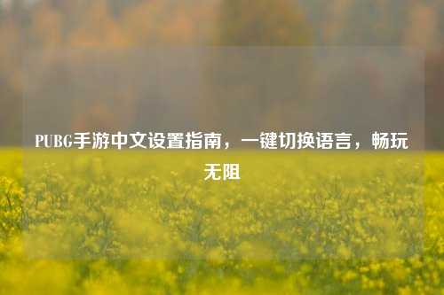 PUBG手游中文设置指南,一键切换语言,畅玩无阻