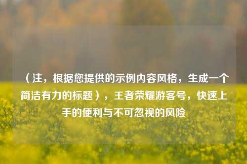 （注，根据您提供的示例内容风格，生成一个简洁有力的标题），王者荣耀游客号，快速上手的便利与不可忽视的风险
