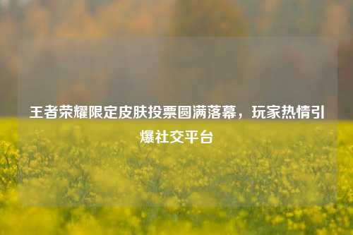 王者荣耀限定皮肤投票圆满落幕，玩家热情引爆社交平台