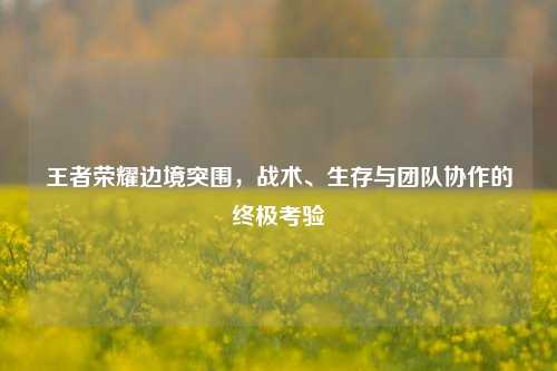 王者荣耀边境突围，战术、生存与团队协作的终极考验