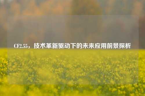 CF2.55，技术革新驱动下的未来应用前景探析