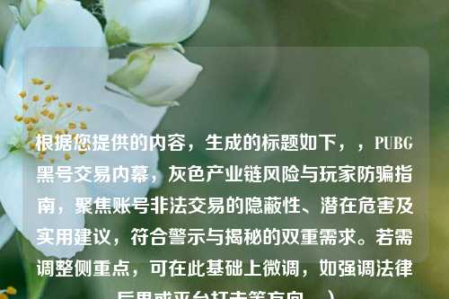 根据您提供的内容，生成的标题如下，，PUBG黑号交易内幕，灰色产业链风险与玩家防骗指南，聚焦账号非法交易的隐蔽性、潜在危害及实用建议，符合警示与揭秘的双重需求。若需调整侧重点，可在此基础上微调，如强调法律后果或平台打击等方向。）