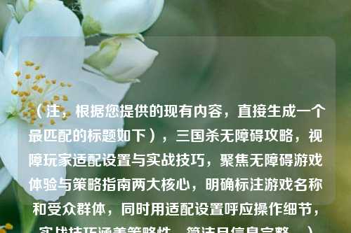 （注，根据您提供的现有内容，直接生成一个最匹配的标题如下），三国杀无障碍攻略，视障玩家适配设置与实战技巧，聚焦无障碍游戏体验与策略指南两大核心，明确标注游戏名称和受众群体，同时用适配设置呼应操作细节，实战技巧涵盖策略性，简洁且信息完整。）