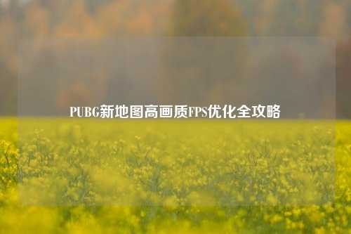 PUBG新地图高画质FPS优化全攻略