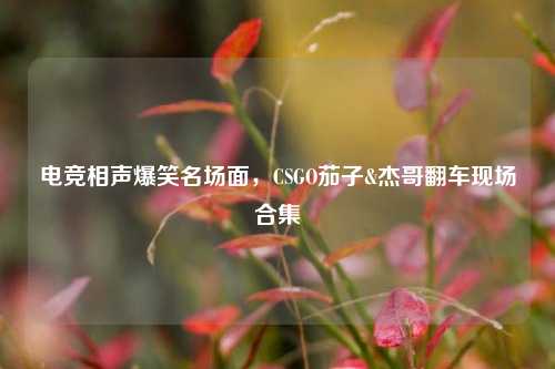 电竞相声爆笑名场面，CSGO茄子&杰哥翻车现场合集