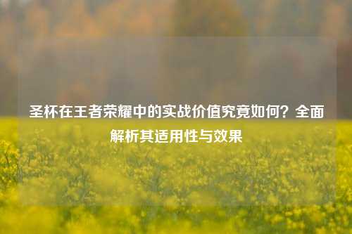 圣杯在王者荣耀中的实战价值究竟如何？全面解析其适用性与效果