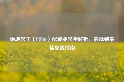 绝地求生（PUBG）配置要求全解析，最低到最佳配置指南