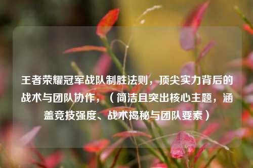 王者荣耀冠军战队制胜法则,顶尖实力背后的战术与团队协作,(简洁且突出核心主题,涵盖竞技强度、战术揭秘与团队要素)