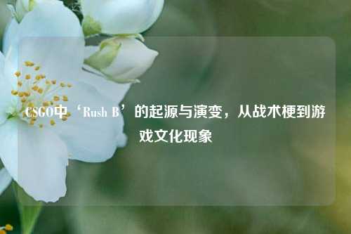 CSGO中‘Rush B’的起源与演变,从战术梗到游戏文化现象