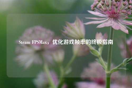 Steam FPSMax,优化游戏帧率的终极指南