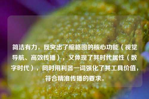 简洁有力,既突出了缩略图的核心功能(视觉导航、高效传播),又体现了其时代属性(数字时代),同时用利器一词强化了其工具价值,符合精准传播的要求。