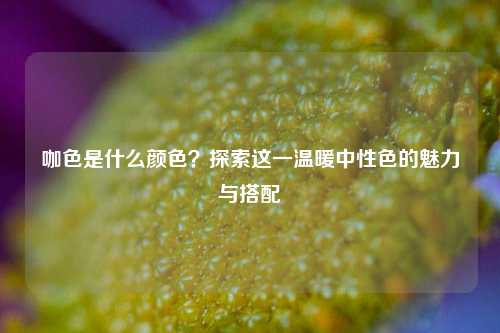 咖色是什么颜色?探索这一温暖中性色的魅力与搭配