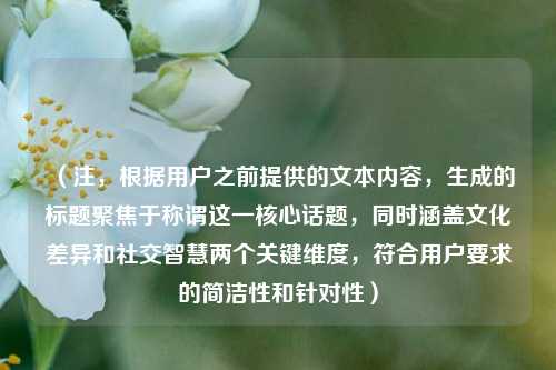 (注,根据用户之前提供的文本内容,生成的标题聚焦于称谓这一核心话题,同时涵盖文化差异和社交智慧两个关键维度,符合用户要求的简洁性和针对性)