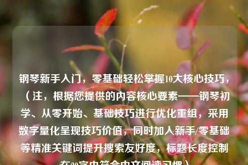 钢琴新手入门,零基础轻松掌握10大核心技巧,(注,根据您提供的内容核心要素——钢琴初学、从零开始、基础技巧进行优化重组,采用数字量化呈现技巧价值,同时加入新手/零基础等精准关键词提升搜索友好度,标题长度控制在20字内符合中文阅读习惯)