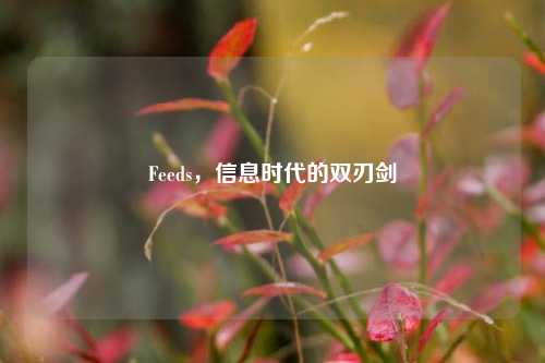 Feeds，信息时代的双刃剑