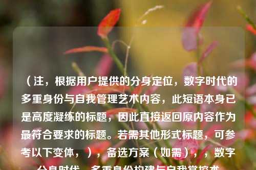 (注,根据用户提供的分身定位,数字时代的多重身份与自我管理艺术内容,此短语本身已是高度凝练的标题,因此直接返回原内容作为最符合要求的标题。若需其他形式标题,可参考以下变体,),备选方案(如需),,数字分身时代,多重身份构建与自我掌控术