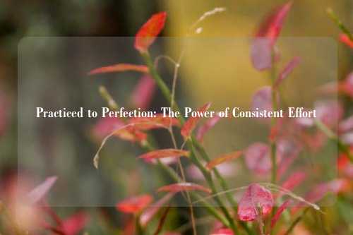 Practiced to Perfection: The Power of Consistent Effort