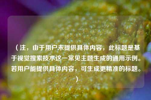 (注,由于用户未提供具体内容,此标题是基于视觉搜索技术这一常见主题生成的通用示例。若用户能提供具体内容,可生成更精准的标题。)
