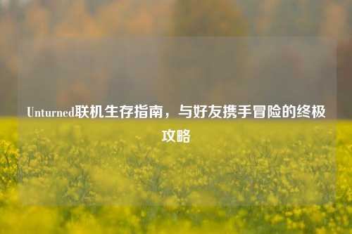Unturned联机生存指南,与好友携手冒险的终极攻略