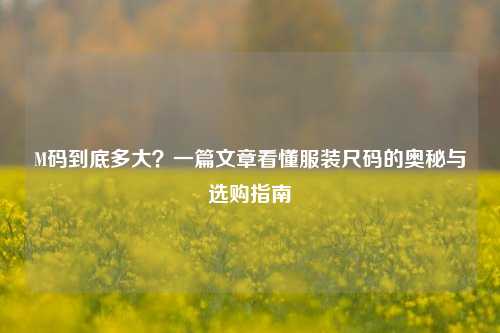 M码到底多大?一篇文章看懂服装尺码的奥秘与选购指南