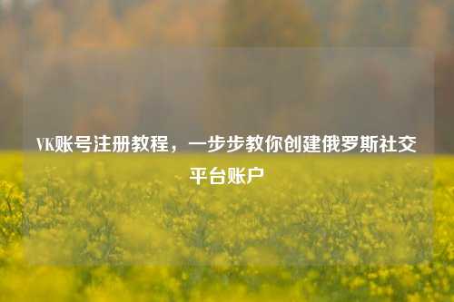 VK账号注册教程，一步步教你创建俄罗斯社交平台账户
