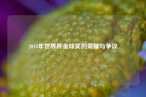 2018年世界杯金球奖的荣耀与争议