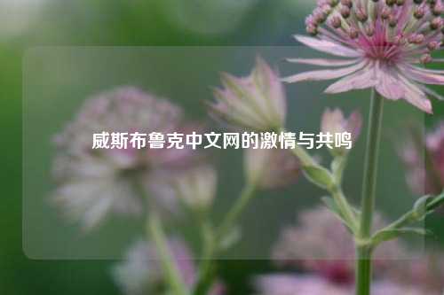 威斯布鲁克中文网的激情与共鸣
