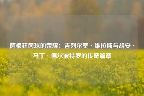 阿根廷网球的荣耀：吉列尔莫·维拉斯与胡安·马丁·德尔波特罗的传奇篇章