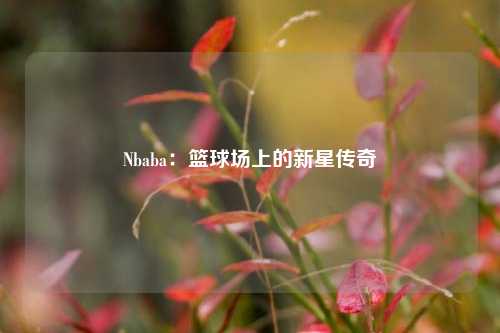 Nbaba:篮球场上的新星传奇