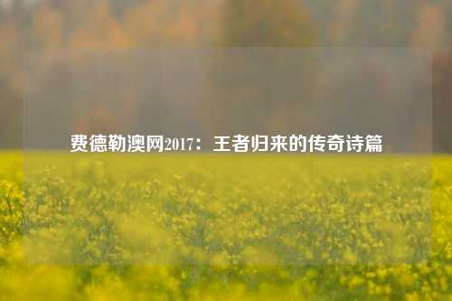 费德勒澳网2017：王者归来的传奇诗篇