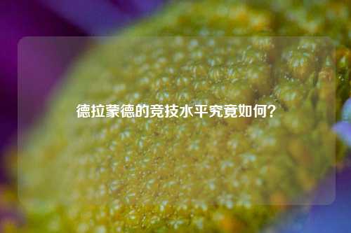 德拉蒙德的竞技水平究竟如何？