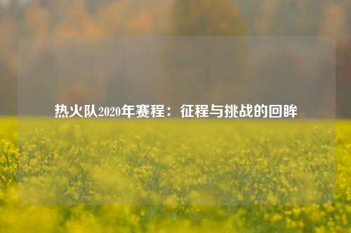 热火队2020年赛程:征程与挑战的回眸